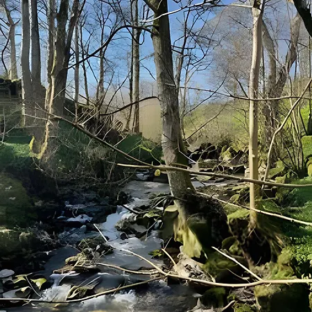 Cozy In בית נופש