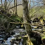 Cozy In Prázdninový dům